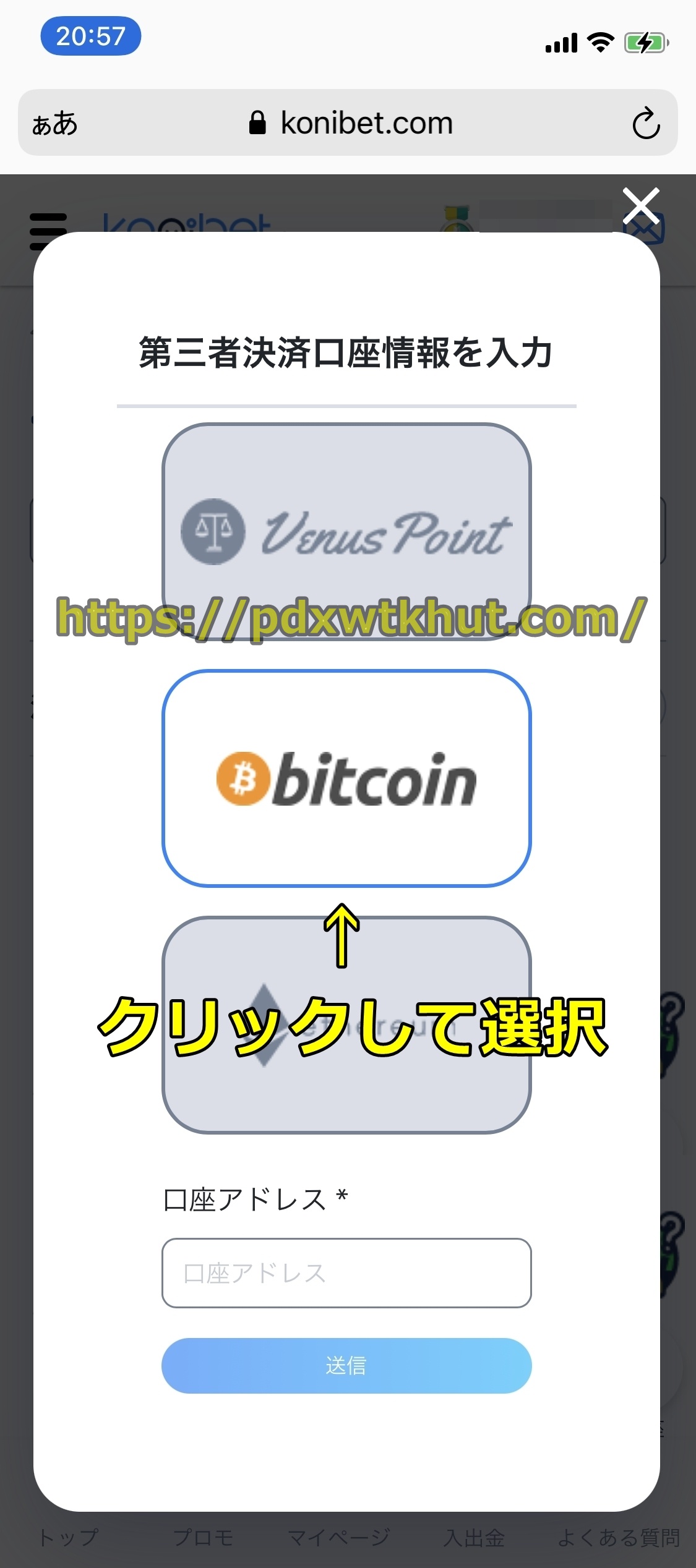 コニベット